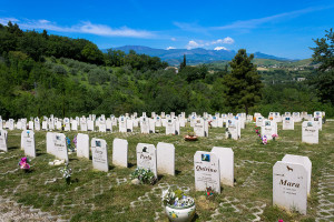 Valle Degli Affetti - cimitero per animali da affezione