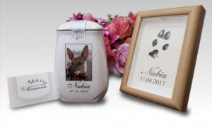 Cremazione animali domestici con restituzione delle ceneri