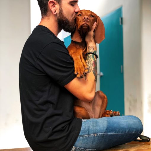 amore per un cane