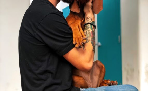 amore per un cane