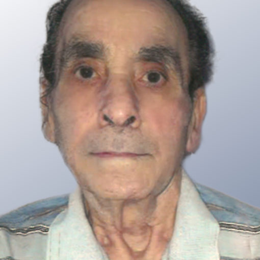 Enrico Di Girolamo