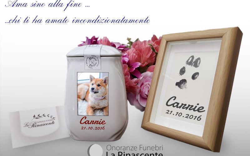 Servizio funebre animali domestici