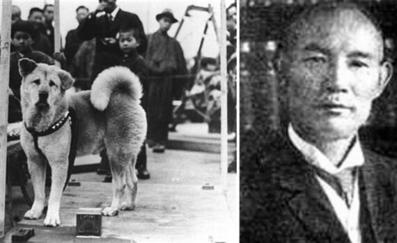 82 anni fa ci lasciava Hachiko che ha continuato per quasi 10 anni a recarsi alla stazione di Shibuya ad attendere invano il ritorno del suo amico a due zampe