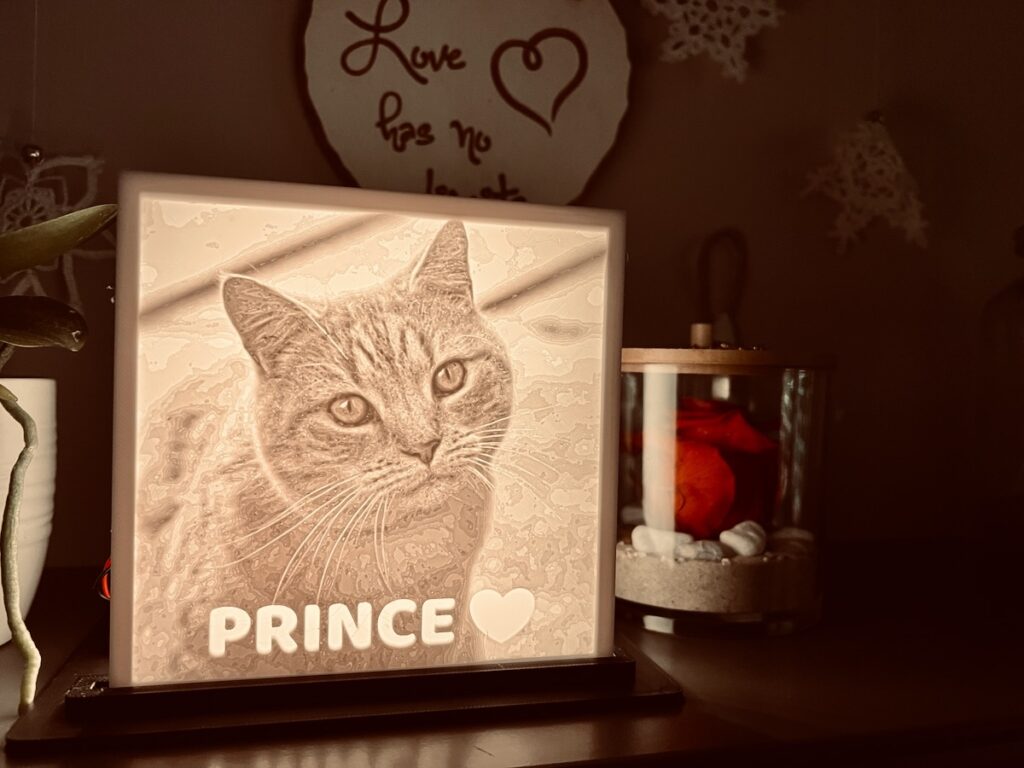 Litofania del gatto Prince illuminata