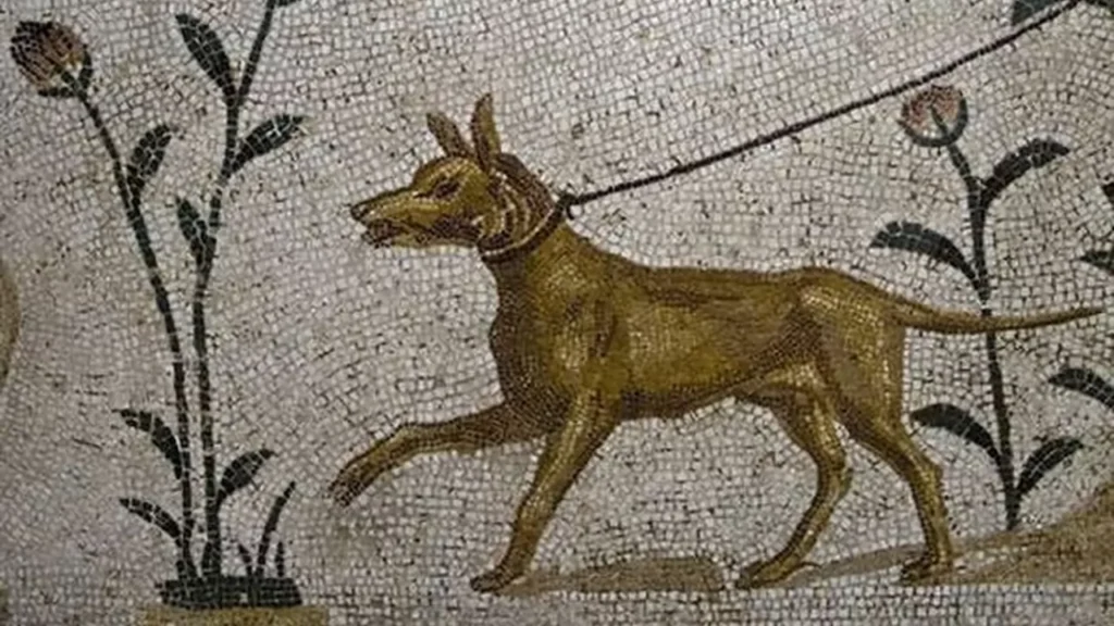 mosaico cane tomba romana