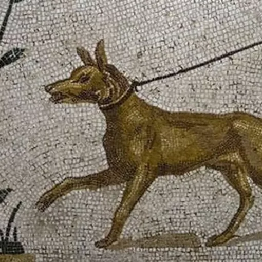 mosaico cane tomba romana