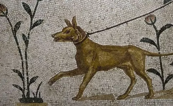 mosaico cane tomba romana